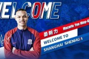 美籍华裔球员晏新力宣布退役 为申花出战29场比赛