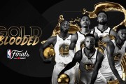 史上最贵NBA总决赛！300美元只能买张站票